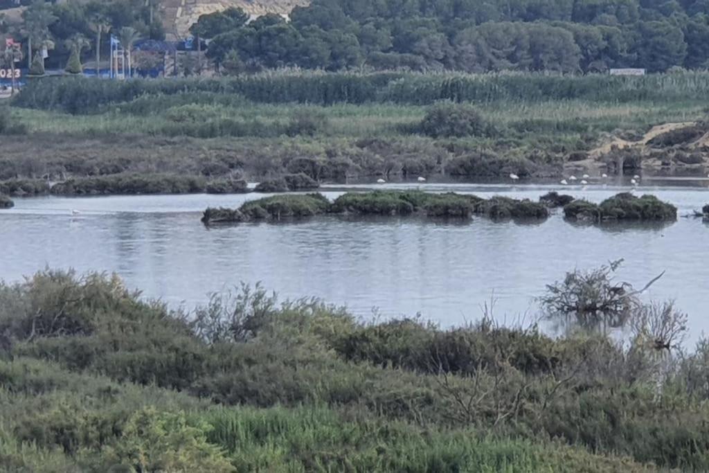 Encantador Relajante Naturista Torremar Vera Playa Eksteriør billede